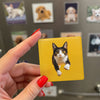Custom Ceramic Magnet 6x6cm coverolla