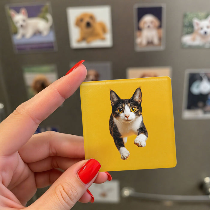 Custom Ceramic Magnet 6x6cm coverolla